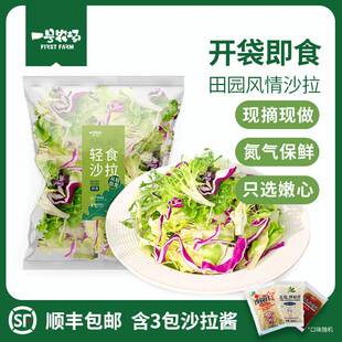 一号农场开袋即食田园风情蔬菜沙拉1箱3包轻食健身代餐360g沙拉酱