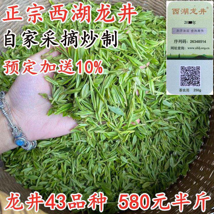 现货2025年杭州正宗西湖龙井茶叶明前龙井43绿茶茶农直销250克