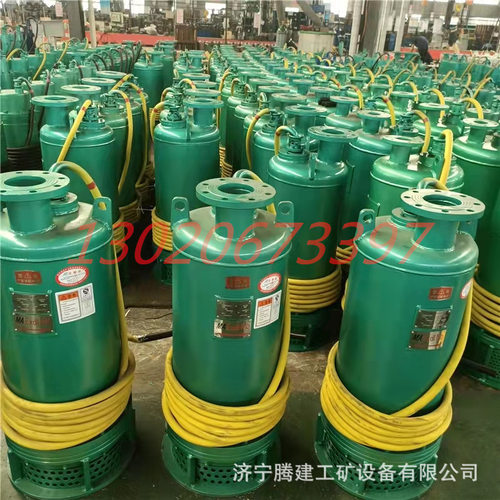 BQS15-30-4KW矿用隔爆型潜水排沙电泵 煤矿用排污排沙潜水电泵