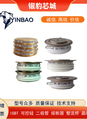 SKN6000/02 SKN6000/04 SKN6000/06全新平板晶闸管