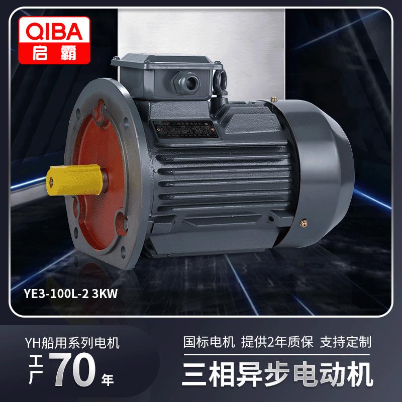 3w立式全铜芯无刷电机马达YE3/YX3系列水泵交流三相异步电动机