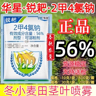 华星锐耙56%二甲四氯钠除草剂2甲4氯钠正品猪殃殃冬小麦阔叶杂草