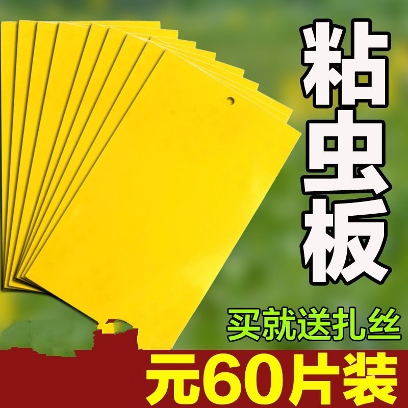 瓜果实蝇粘胶板果蝇实蝇贴针蜂粘虫板农用果园诱粘板苍蝇蚊诱捕器