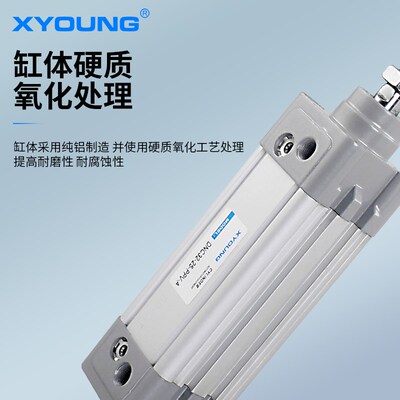 气动DNC125-75标准气缸DNC125-200-PPV-A带磁标准气缸DNC125-150