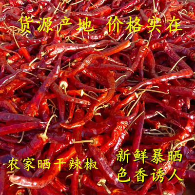 散装湖南省麻阳县干辣椒农家自晒
