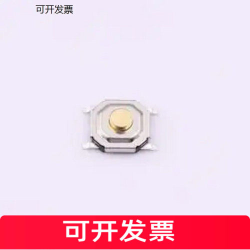 BTS0C52NBG铜头轻便开关