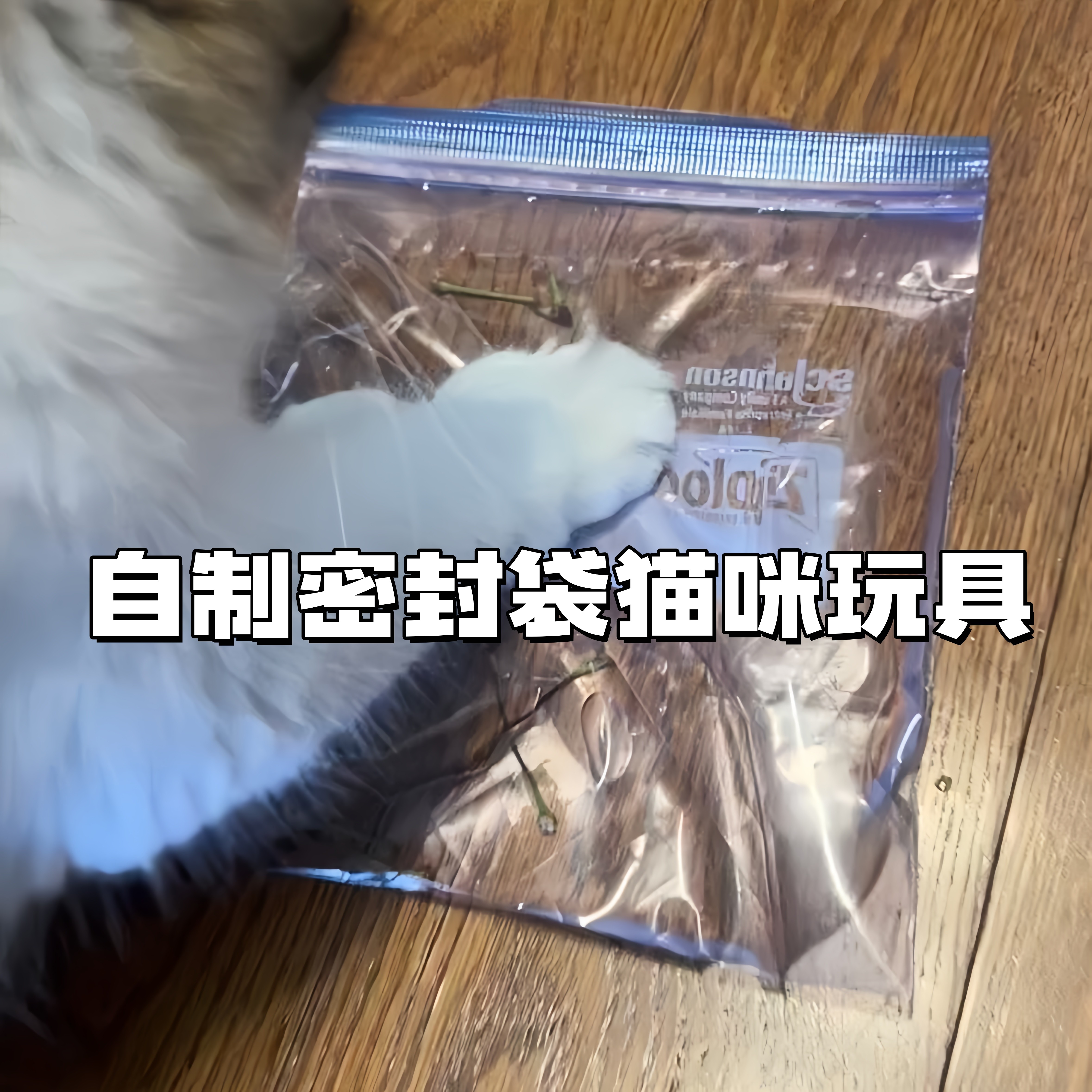 猫咪密封冰袋抽拉玩具益智互动图片