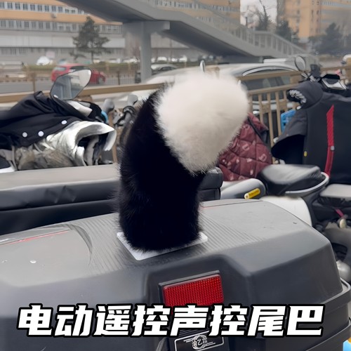 电动车声控遥控毛绒狐狸尾装饰