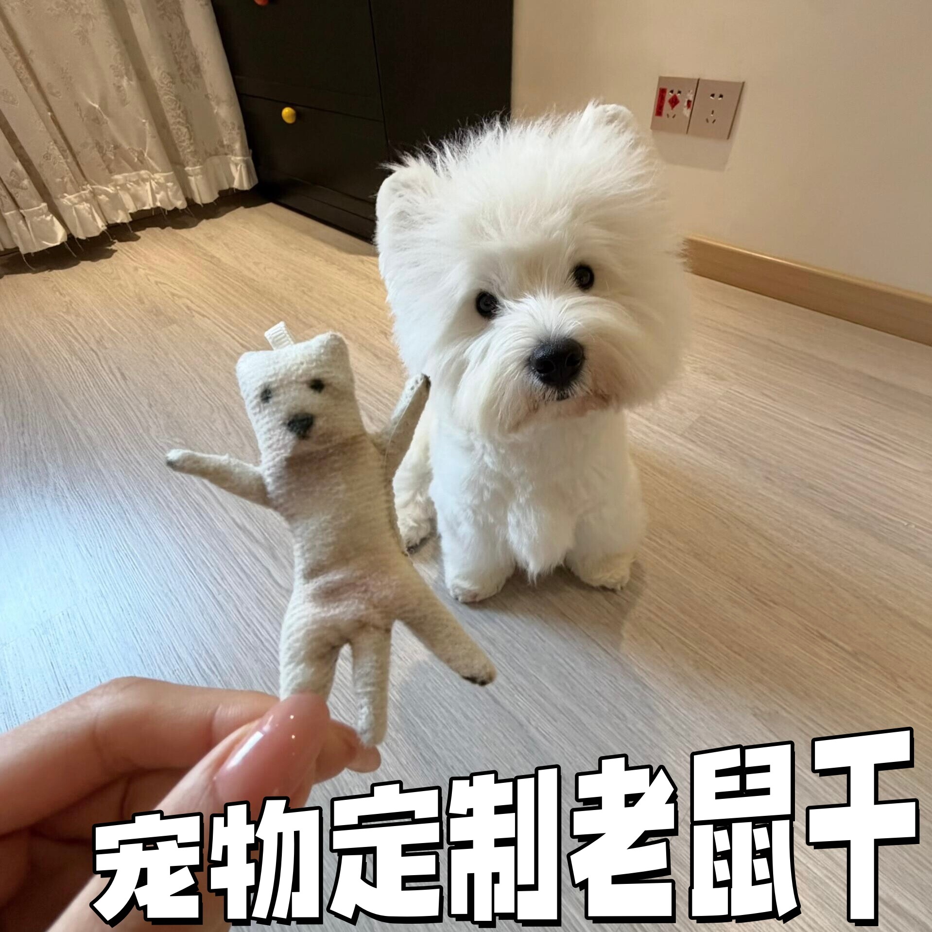 来图定制宠物乳鼠干可摆造型挂件图片
