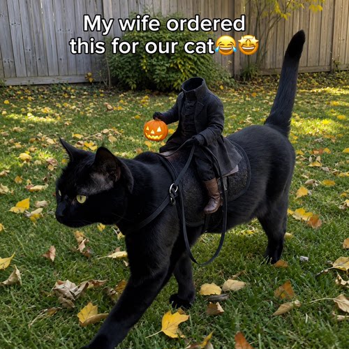 猫咪无头骑士COS服万圣节装扮