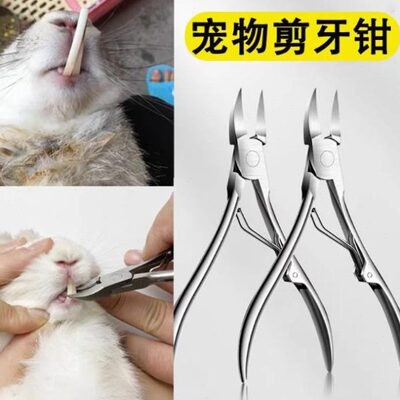 兔子用品牙宠物仓鼠猫狗断牙剪大全钳剪器指甲剪牙新手器剪牙齿