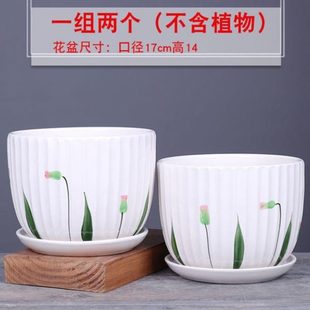 花盆陶瓷一体透气托盘家用带吊兰花高档花盆大号清仓 绿萝创意个性
