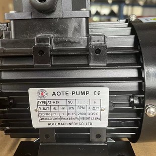 PUMP澳特高温模温机水泵AT A1F AOF A2F200度油泵 AOTE