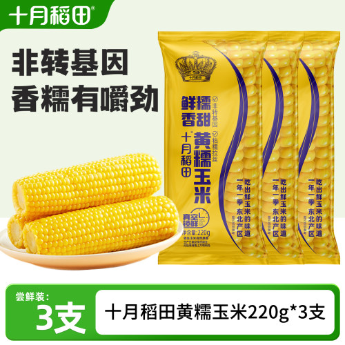 十月稻田黄糯玉米3支尝鲜