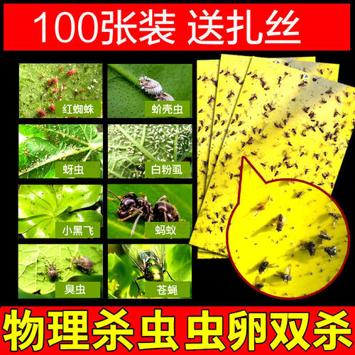 厂家直销粘虫板诱虫板灭虫板捕捉小飞虫板捕虫诱虫杀蚜虫诱捕器
