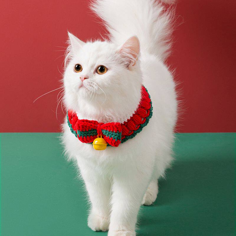 小猫幼猫狗狗针织宠物围脖项圈领结冬款猫咪脖颈装饰用品