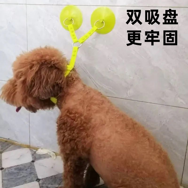 吸盘可拆卸宠物绑带猫狗美容洗护项圈固定器洗澡防抓挣脱束缚带