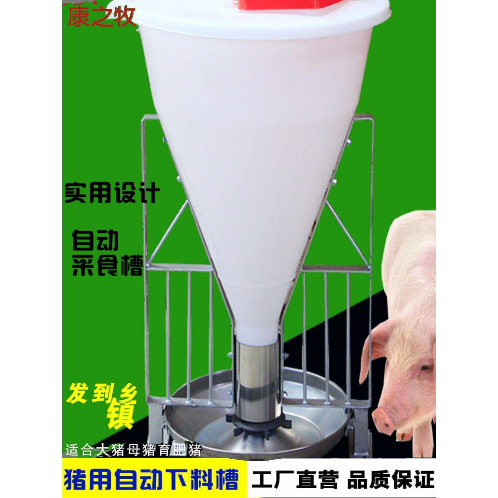 猪用自动料槽猪食槽大猪母猪食槽不锈钢喂料器猪用料槽养殖场设备