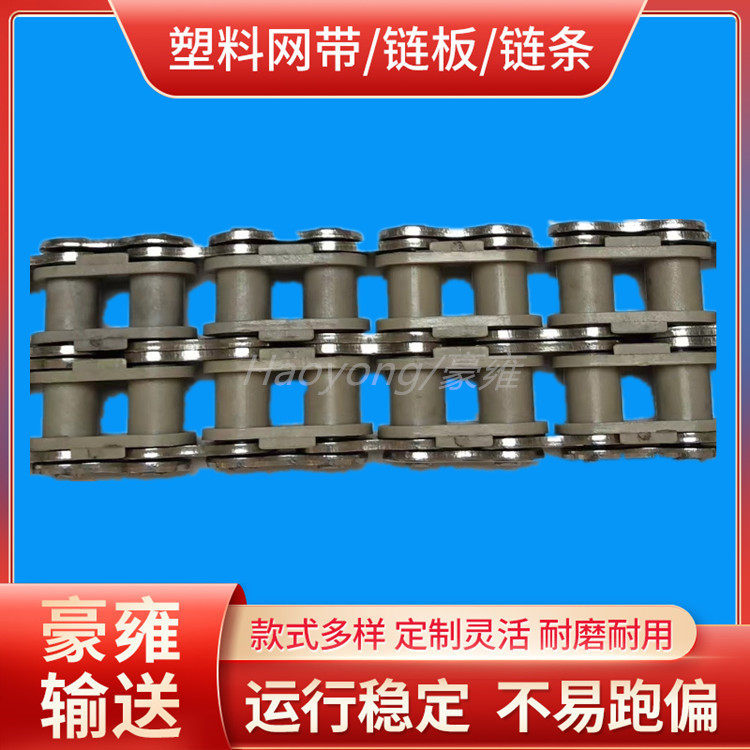 大厂直销10B双排PEEK塑料滚子链工业链条板式链输送链条