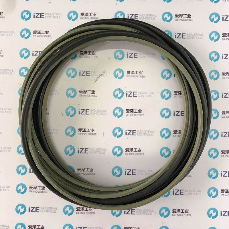B+S密封圈RSK301600-T46N现货供应爱泽工业