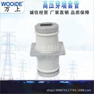 270 白色陶瓷CMW 母线穿墙套管CM 10KV 12KV 20KV 160 100 180