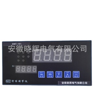PID调节仪XMT 191温度控制显示仪