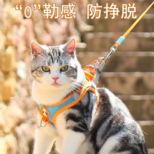猫咪牵引绳防挣脱专用猫绳小型犬胸背G带绳子溜猫绳宠物牵狗绳遛