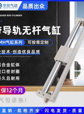 无杆气缸 RMH-16X100X200X300磁耦无杆气缸Z 气动气缸