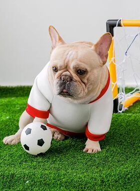 秋冬季法斗狗狗衣服斗牛犬雪纳瑞中型犬秋天薄款卫衣喜庆宠物衣服