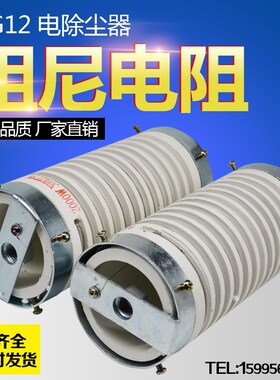 ZG12 电除尘器 高压阻尼电阻 500W750W800W1000W1200W1500W2800W