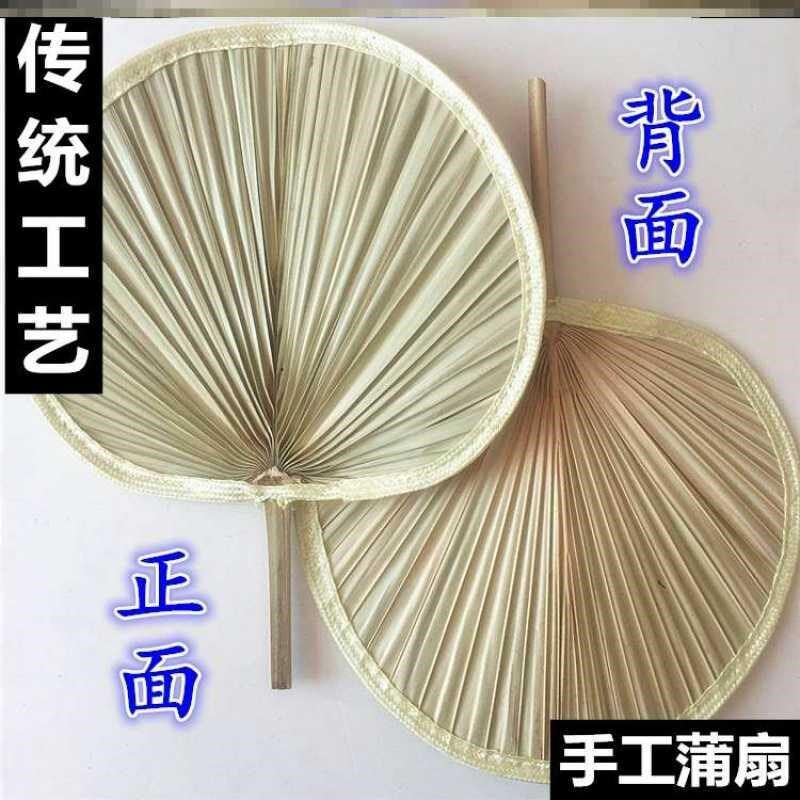 5ZW大蒲扇蒲草扇凉快驱蚊风普蒲浦铺扑埔莆扇舞蹈老式小号芭蕉扇