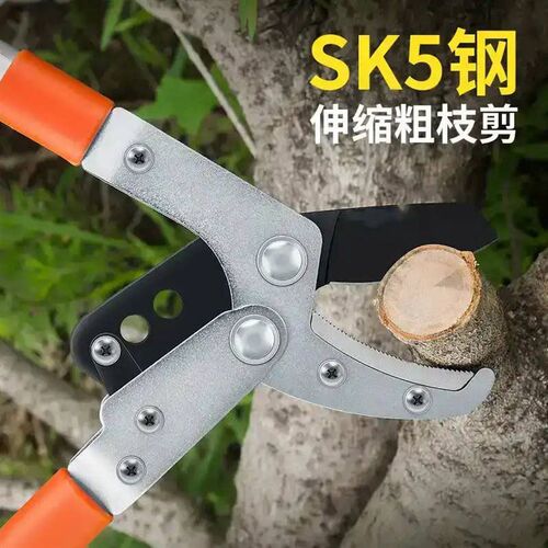 修树枝剪刀粗枝伸缩园艺剪刀多功能园林剪刀果树园林粗枝剪高空