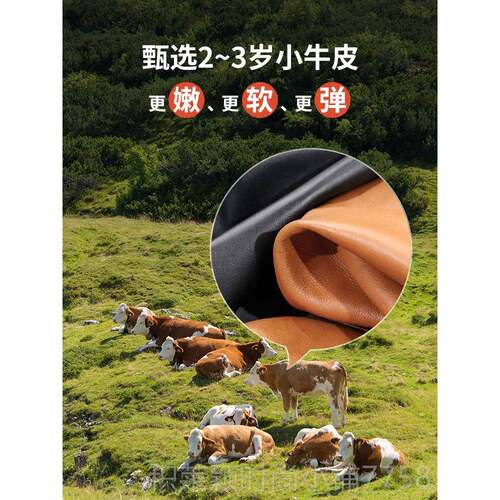 新款弓形公椅办椅会议椅会客椅办公板座椅舒适久书房椅子可旋转老