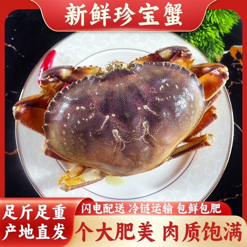 爱尔兰鲜活速冻特大珍宝蟹太子蟹