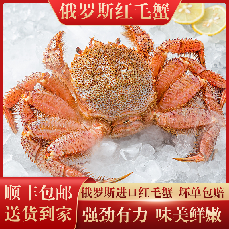 红毛蟹俄罗斯毛蟹特大2斤/只
