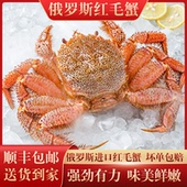 红毛蟹俄罗斯毛蟹特大2斤 只鲜活超低温冷冻进口海鲜螃蟹