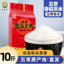 新货东北香稻大米量贩装圆粒米长粒香非五常非稻花香10斤5kg珍珠