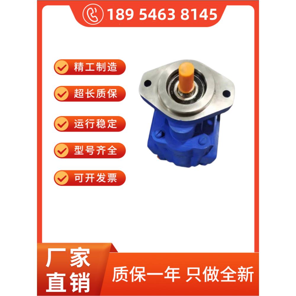 1115133401泊姆克齿轮泵 BMK3-20045 采煤机 1163041001A