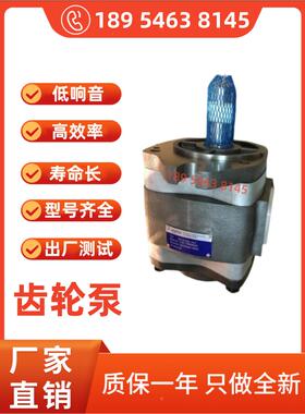 VOITH德国福伊特液压油泵IPV5-32/IPV6-80/IPV7-12 5齿轮泵