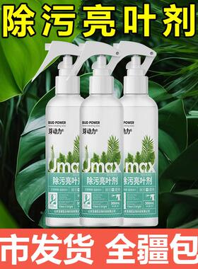 免稀释光叶喷剂植物叶面光亮除尘剂护花使者花卉叶面洁净光亮增绿
