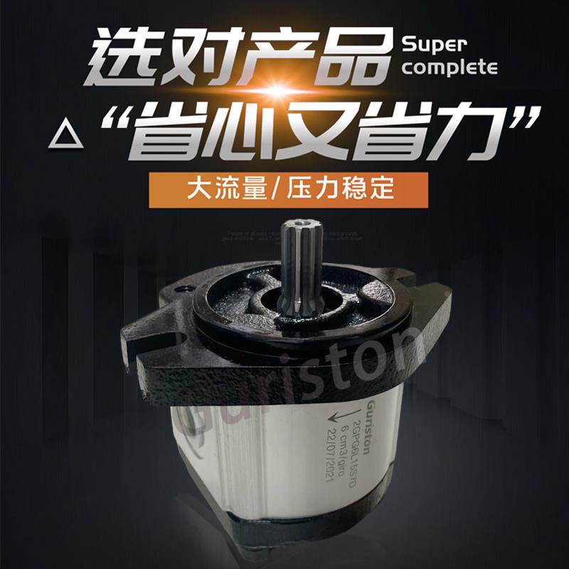 Guriston谷顿液压齿轮泵2GPG6L19S7D铸铁高压油泵 代替力士乐油泵