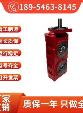 钻机石煤机高压齿轮泵CBGJ/CBG2063 2032 2050 2080 2100 双联泵
