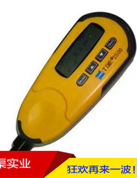 北京时代TT220涂镀层测厚仪 新款TIME2500型涂镀层厚度测量仪器