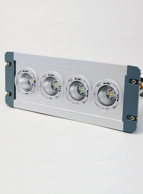 NFC9121三防灯过道灯ZGD202低顶灯LED应急顶灯地沟灯NFE9121