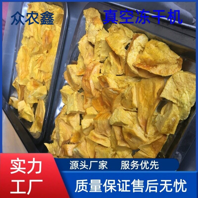 芒果低温干燥机设备家用冻干机鱼粉加工设备低温真空冻干机