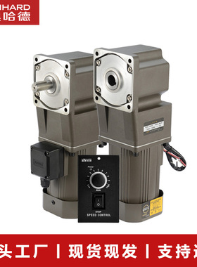 雷奥哈德电机厂60W直角减速电机用于污水处理设备36RT比转角电机