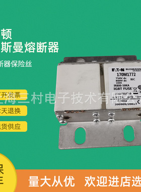 全新快速熔断器保险丝断路器大量现货170M1409 170M1410 170M1411