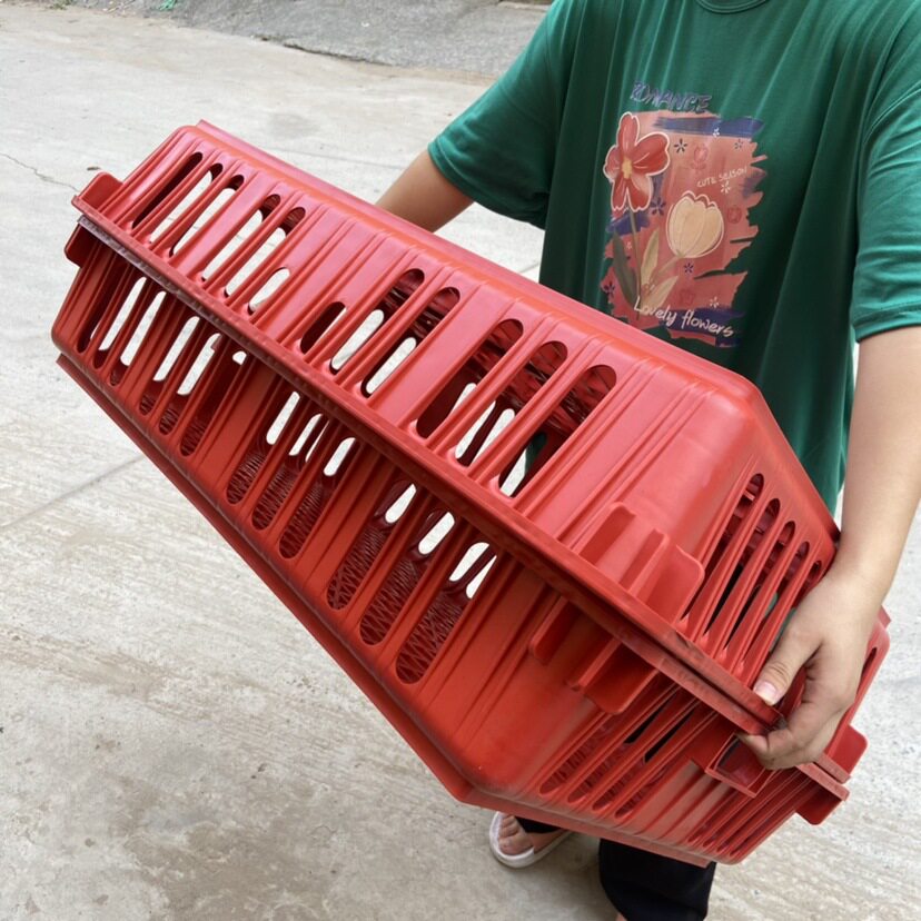 加厚鸡笼周转箱运输笼塑料筐鸡鸭鹅鸽子家禽兔大号养殖笼盖子鸡框