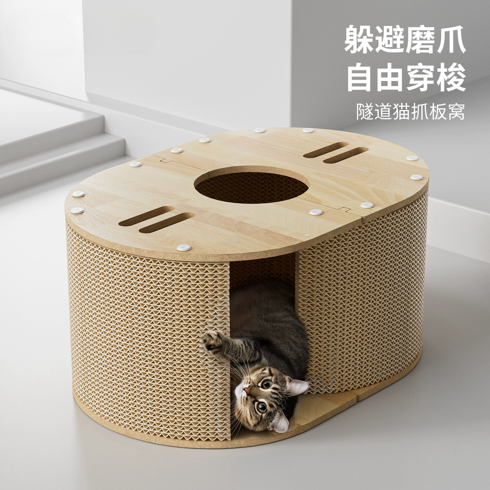猫爬架小型猫窝四季通用猫爬架猫窝猫树一体太空舱猫窝猫玩具自嗨