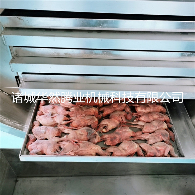 大型果蔬宠物冻干流水线